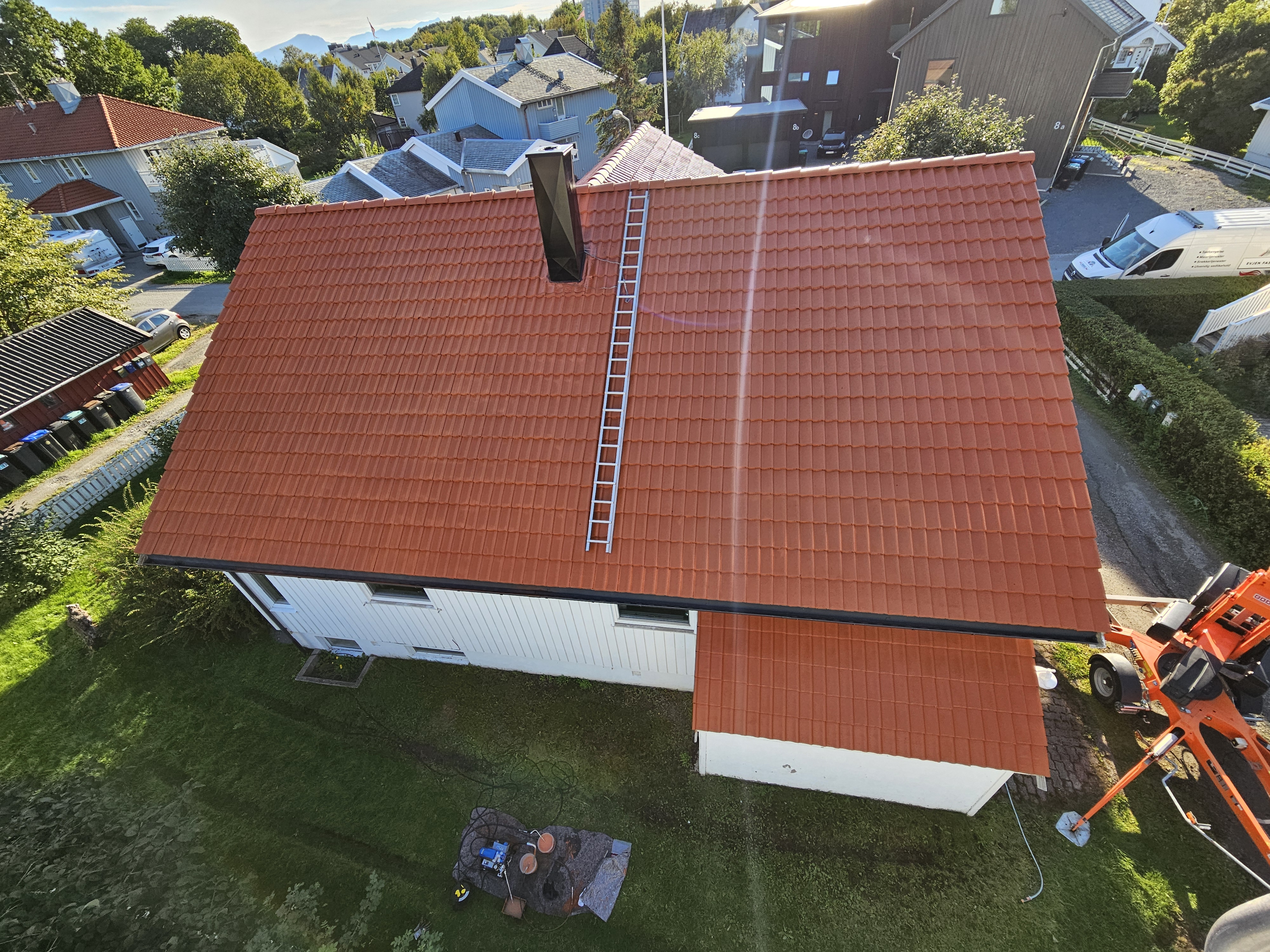 Tett, grønn furuskog i dal omgitt av tåke som slynger seg mellom åsene.
